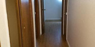 Rochelle Apartments Gallery 10