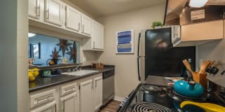 Retreat at Candelaria Gallery 16