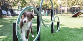 Avalon Silicon Valley Gallery 35