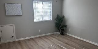 1731 E ELGIN Street Gallery 18