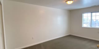 Maple Valley Gallery 11