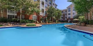 Emerson at Cherry Lane Gallery 10