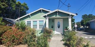 Buena Vista Gallery 1