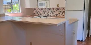 4 bed 2 bath house available now! Gallery 6