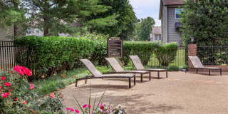 British Woods Gallery 20