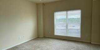 Downtown / Williams Brice area Gallery 16