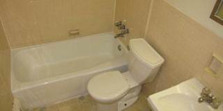 Treehaven Apartments Gallery 35