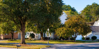 2019 Clearfield Lane Gallery 3