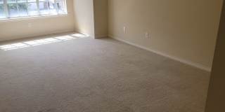 4 bedroom 3.5 bathrooms Gallery 17