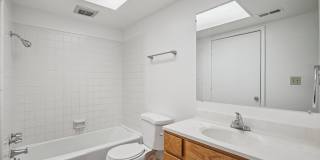 Country Woods Gallery 36