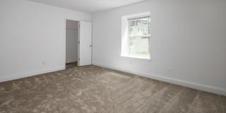 Hidden Colony Gallery 10