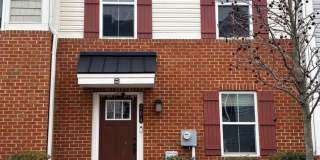 304 BLUE WELSH Street Gallery 1