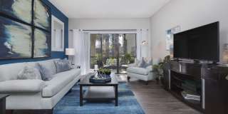 Enclave at Lake Ellenor Gallery 3
