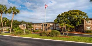 Sea Oats Sea Oats Gallery 60