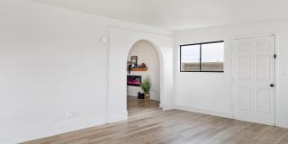 7648 Jimson Avenue Gallery 29