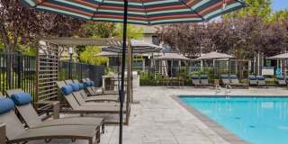 Sofi Berryessa Gallery 4