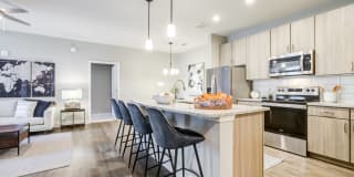 Argento at Riverwatch Gallery 1