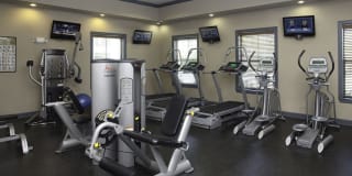 Chapel Creek Gallery 5