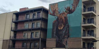 Gorgeous Condo! Gallery 1