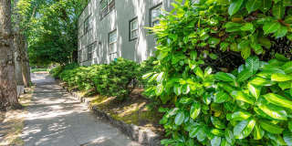 Forestry Court Gallery 3