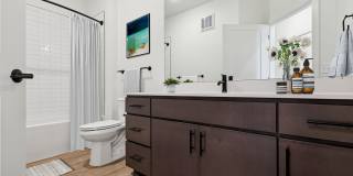 The Navigator The Navigator Gallery 29