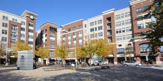 1107 S WALTER REED Drive Gallery 50