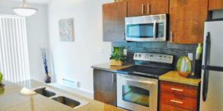 Amazing location with private yard space Gallery 4