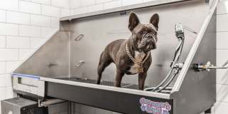 Enclave at Woodcrest Station Gallery 14