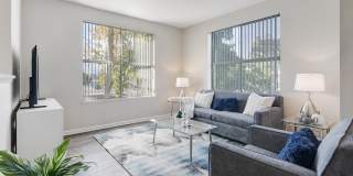 Almaden Lake Village Gallery 12