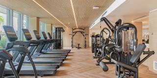 Citrus Commons Gallery 54