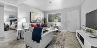 District 5800 Gallery 6