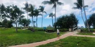 1200 Gulf Shore Blvd N unit: 404 Gallery 31