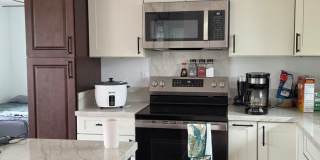 Modern 3BD/2BA Home in Ainaloa | Front Gate & Partially Fenced Yard | $2,300 Gallery 7