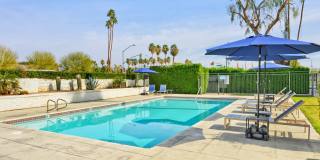 THE MODERN CACTUS Gallery 28