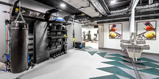 Pure Lowry Gallery 15