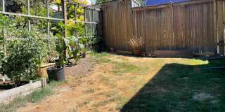 Immaculate and Updated Mid Century Home in Whittier Heights Gallery 37