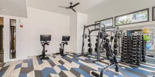Mandarina Apartment Homes Gallery 66