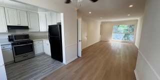 1541d Gallery 1