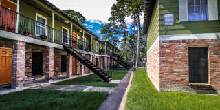 Spring Pine Gallery 35