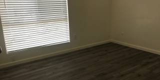 NEWLY RENOVATED SOUTHWEST STYLE! Gallery 7