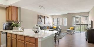 Cortland on South Eads Gallery 10