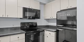 Bears Village Gallery 30