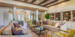 Commonwealth at 31 Gallery 3