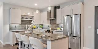 Royal Blue Gallery 2