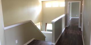 18047 Java Isle Dr Gallery 14