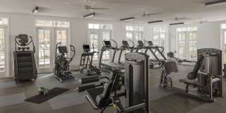 The Whitley Gallery 21