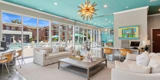 Encore North Gallery 25