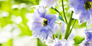 Glenlake Apartments Gallery 12