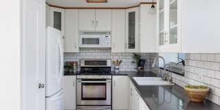 1805 White Oak Cove Gallery 11