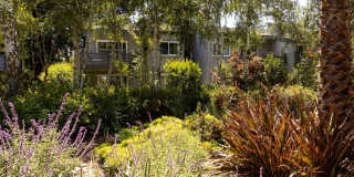 Shadowbrook Apartments Gallery 21